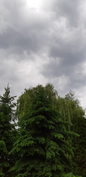 Hidasnémeti