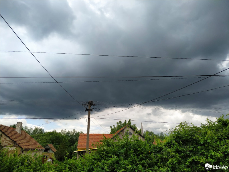 Polgár