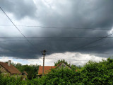 Polgár