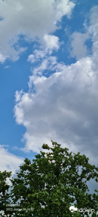 Észlelési fényképek