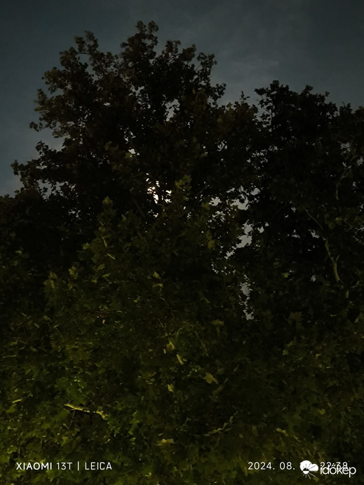 Észlelési fényképek