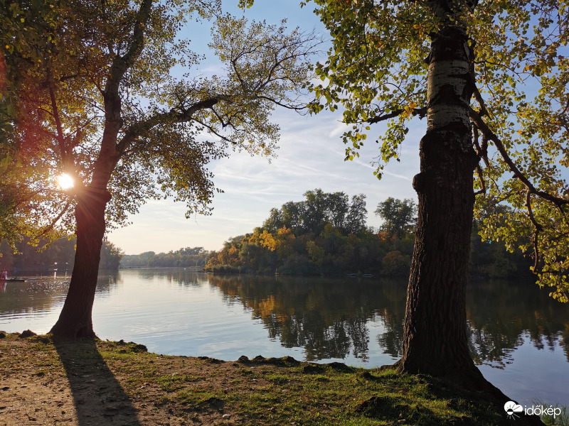 Mártély, Holt-Tisza 