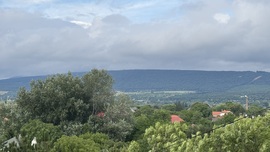 Vihar után