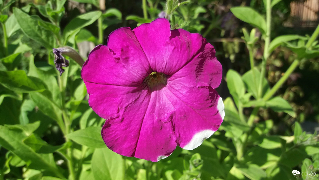 Napfénybe. :)