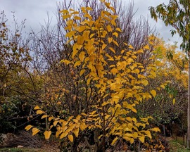 erikakacsota123 fotója