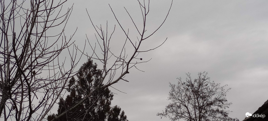Szürkeség esővel...