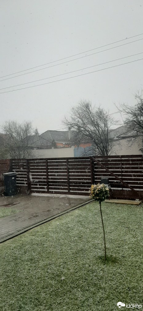 Észlelési fényképek