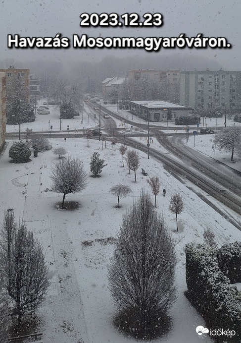 Észlelési fényképek