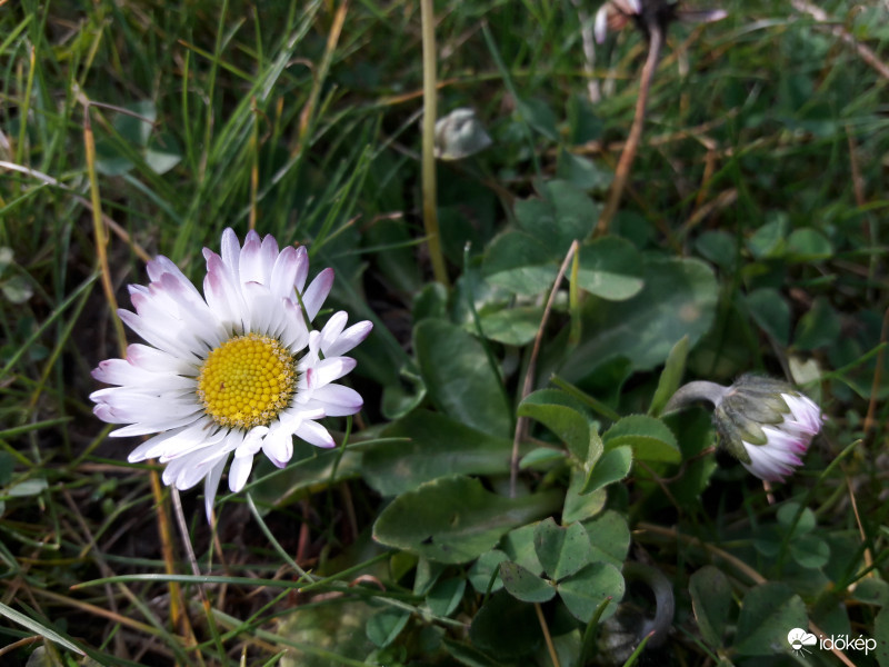 Tavaszi időnk van. Ő is érzi. :)