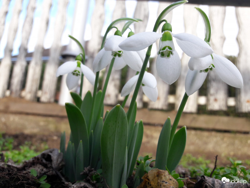 Közeledik a tavasz 