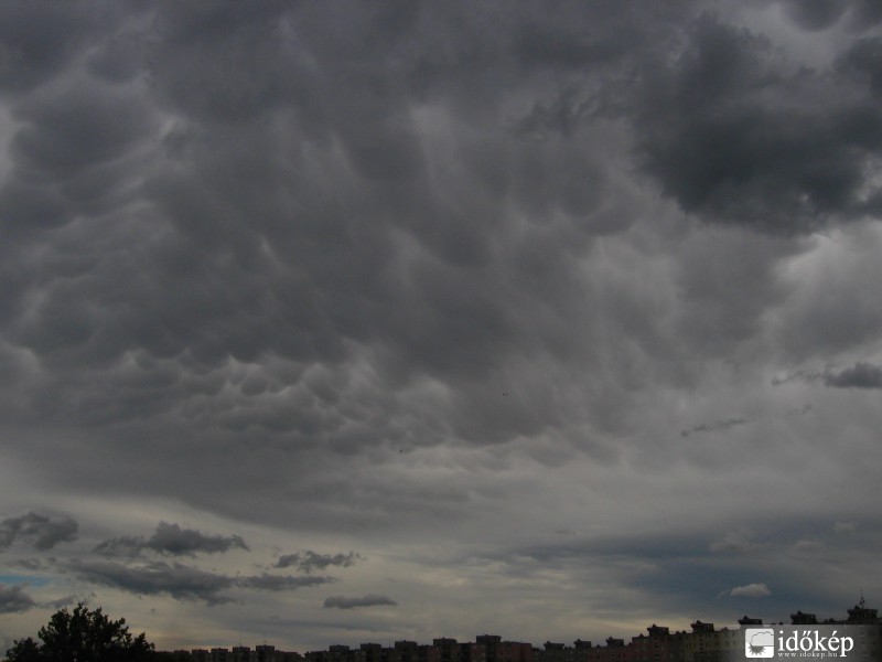 Mammatus