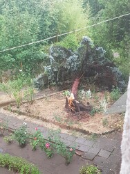 Hódmezővásárhely