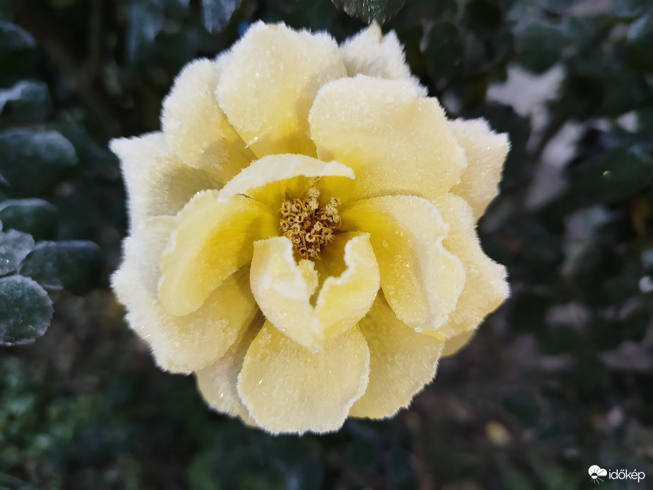 Budapest XXIII.ker - Soroksár