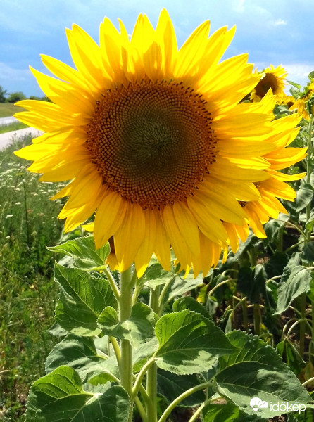 Tavaly ilyenkor - Regisztrációm 1 éves évfordulója alkalmából :)