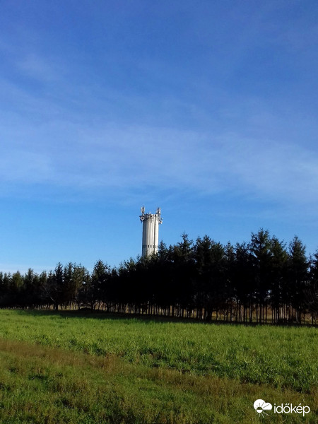 Fertőszéplaki víztorony fenyves mögé bújva :)