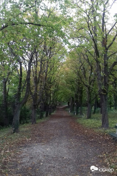 Vajon mi van az út végén...? :)