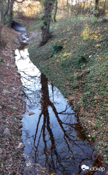 Rák-patak tükröződéssel :)