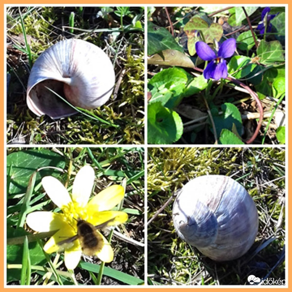 Egy tavaszi séta után... :)