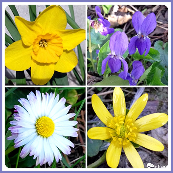 Tavasz szépségei 1.