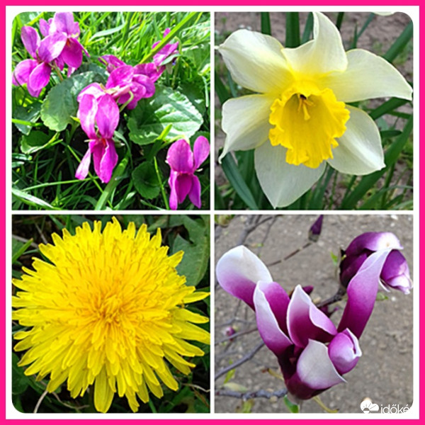 Tavasz szépségei 2.