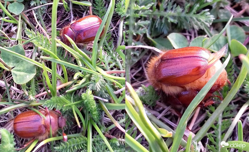 Ismerkedés és annak végkifejlete 2 felvonásban :)