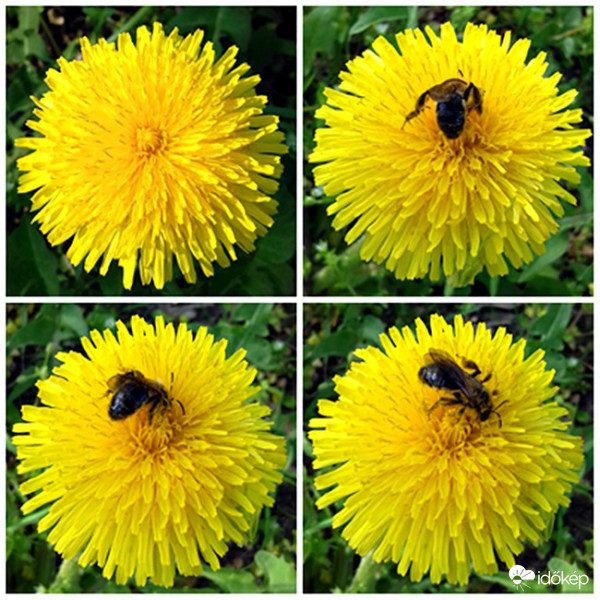 Tavaszi "munkálatok" 4 lépésben :)