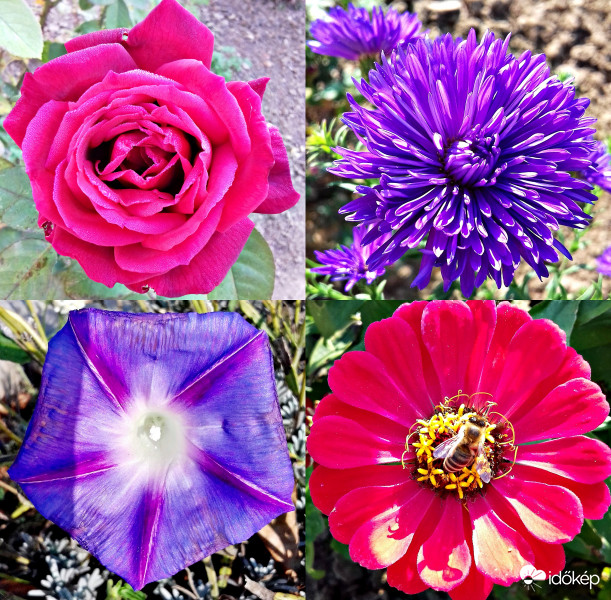 Indián nyár tündöklő szépségei :)