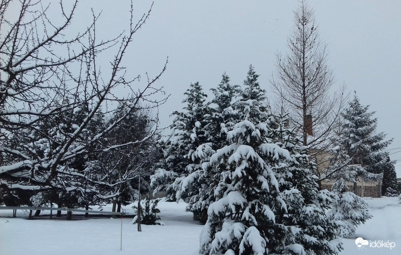 Kert "fehérbe öltözve" :)