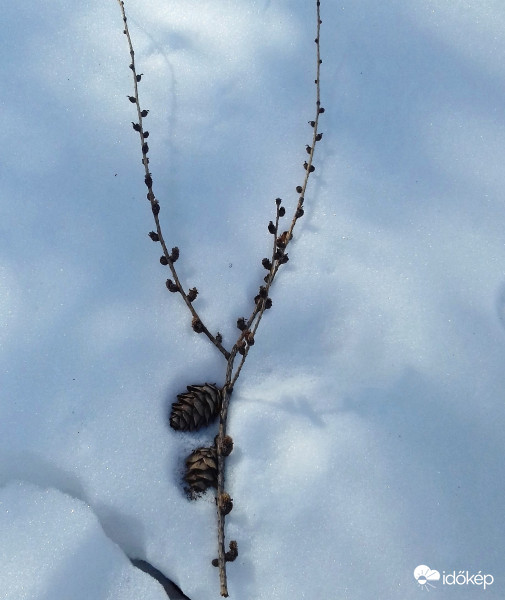 Megpihenve a hótakaróban