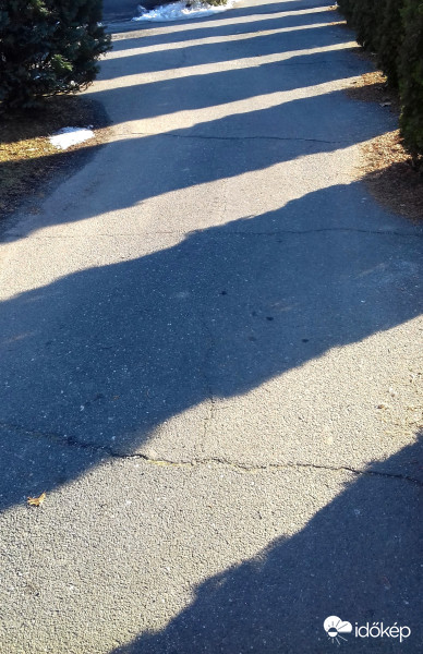 "Zebra" kicsit másképp :) (Fény és árnyék játéka)