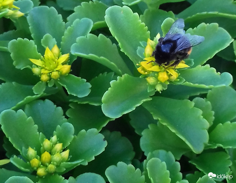 "Munka" közben... :)