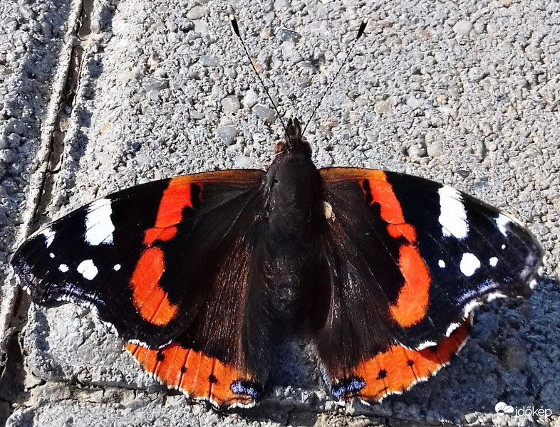 Sütkérezve a kövön... :)