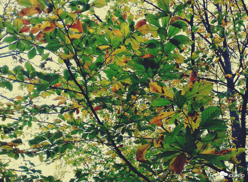 November elsején őszi hangulatban