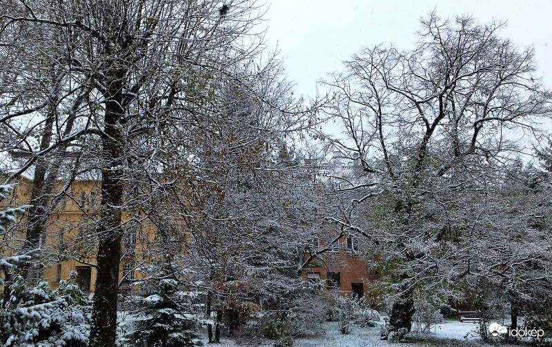 Ízelítő a télből... :)