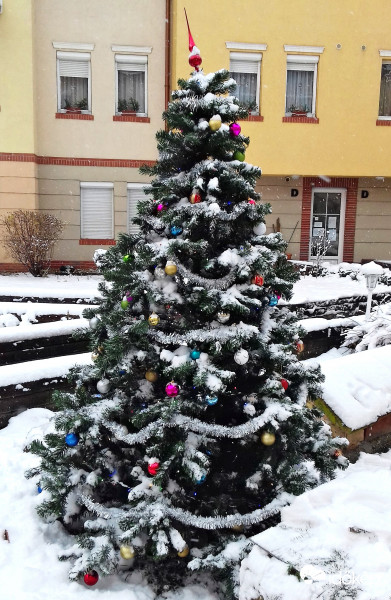 Karácsonyi hangulat az udvarunkban :)