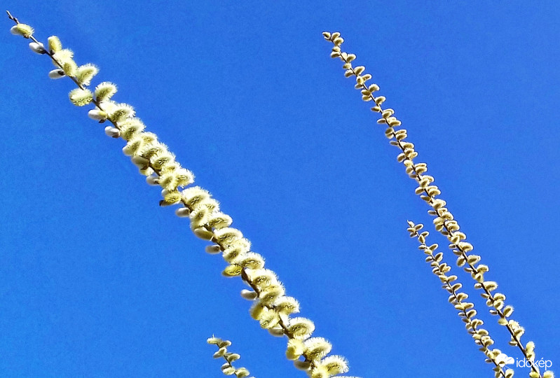 A tavasz első jelei... :)