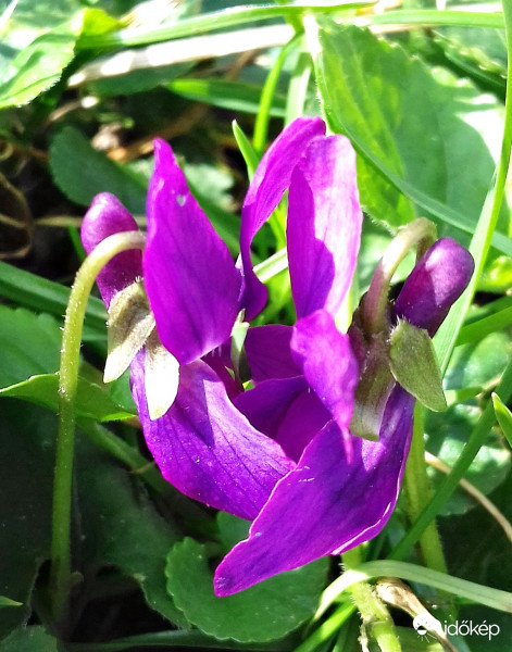 Egymás felé fordulva... :)