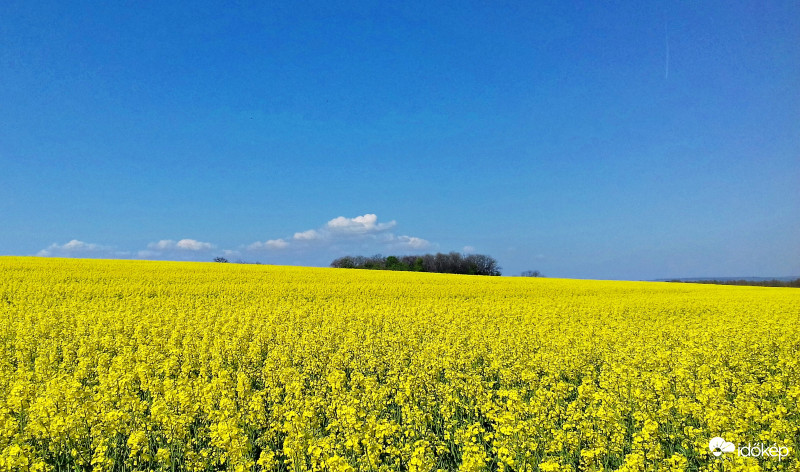 Repcetenger, ameddig a szem ellát... :)