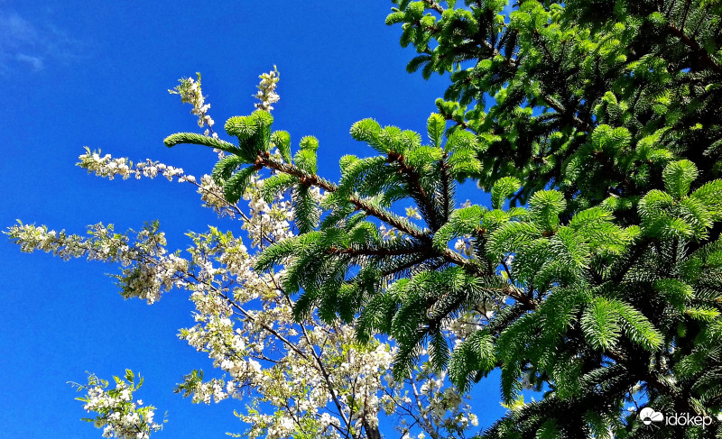 Zöld, fehér és kék 2. :)