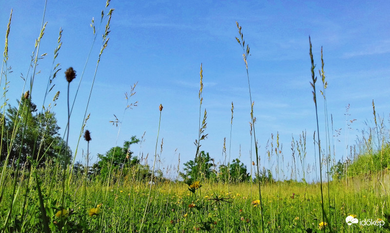 Jó időben a fűben... :)