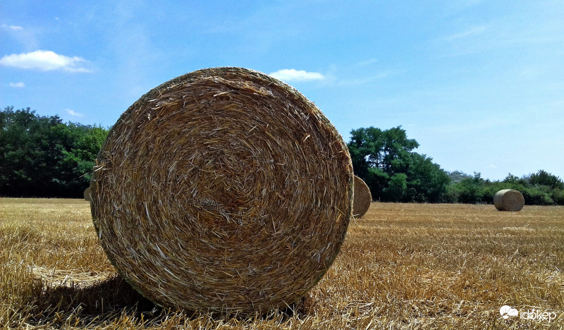 Szalmabálák kora délutáni napsütésben 2.