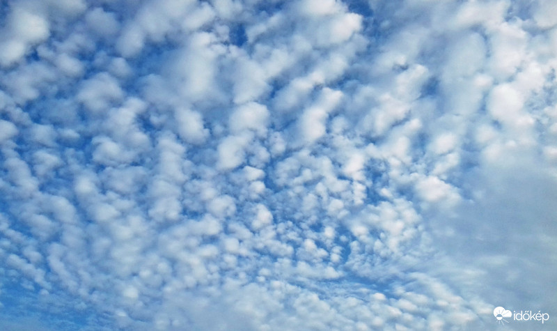 Ma esti "báránykák" :)