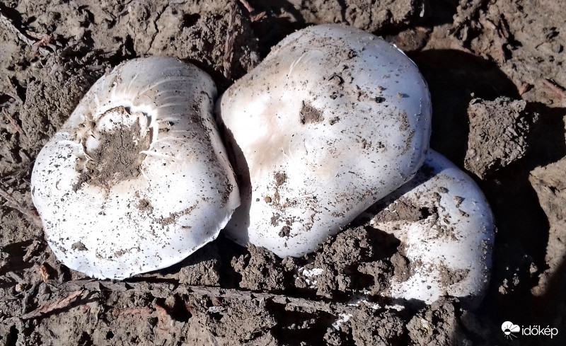 Hárman együtt a semmi földjén :)