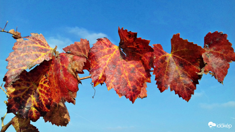 Amikor még a színek uralkodtak 1. 