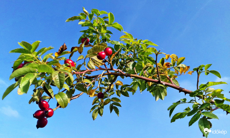 Amikor még a színek uralkodtak 2.