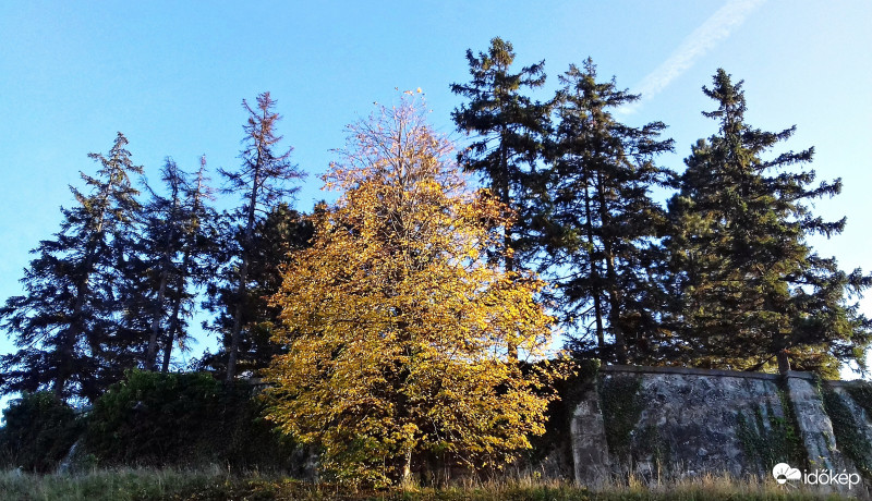 Őszi pillanat a Szent-Mihály temetőben