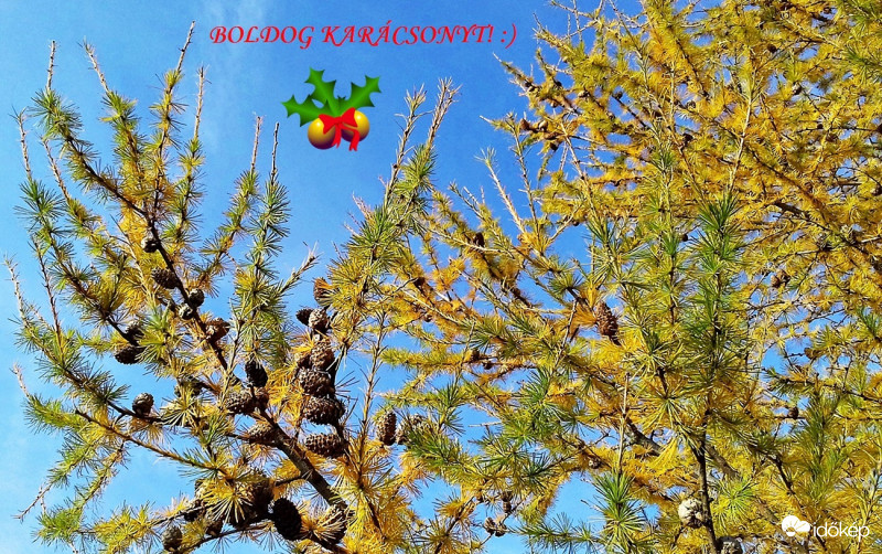 Boldog Karácsonyt Mindenkinek! :)
