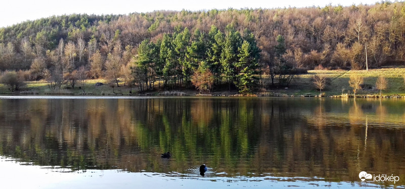 Fehér úti tó 1.