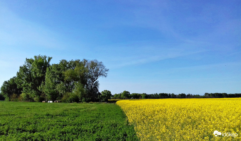 Zöld, sárga és kék :)