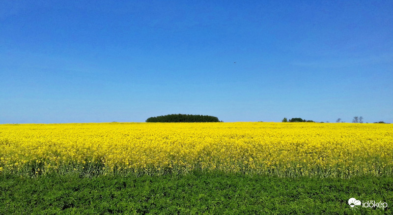 Zöld, sárga és kék 2. variáció :)